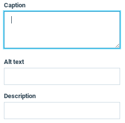 Add a description to the Caption field and copy it to the Alt Text field.